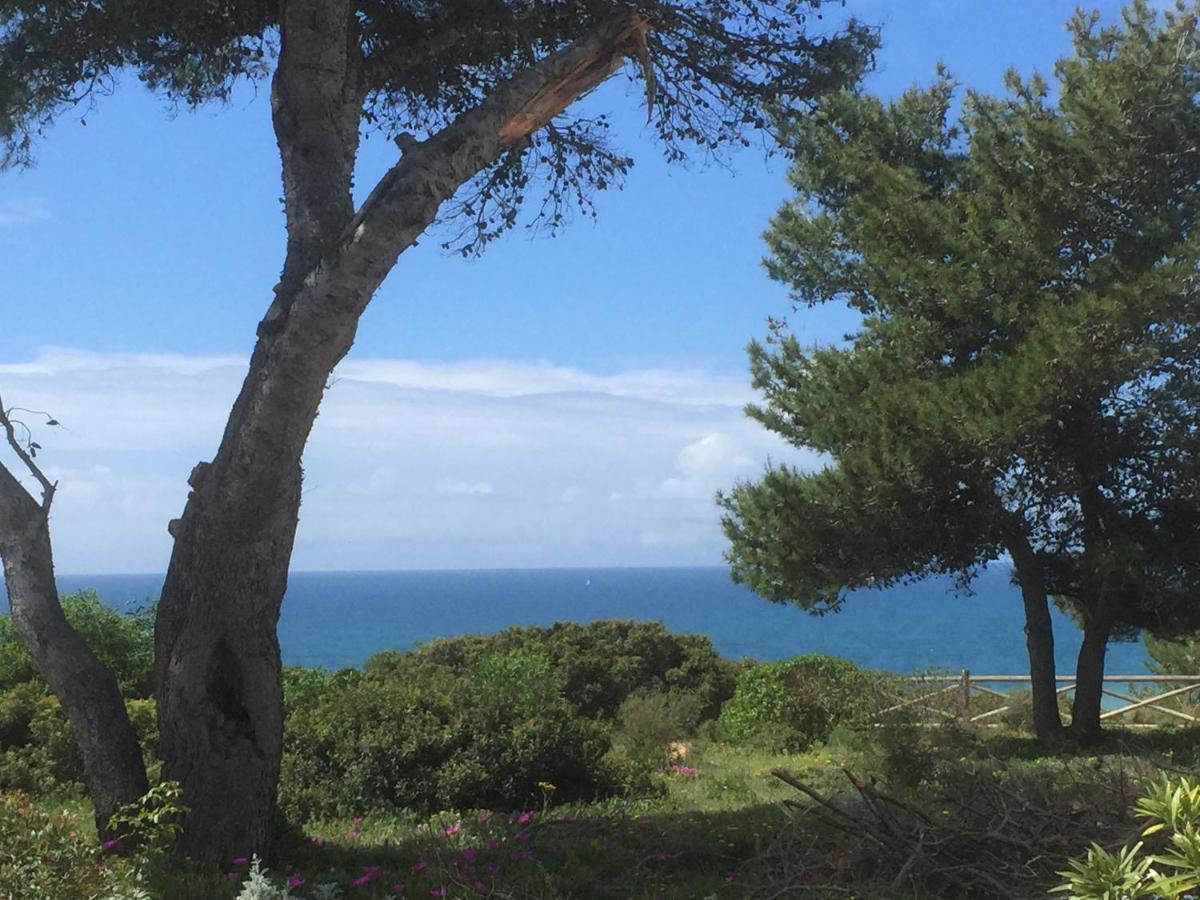 Апартаменты Carvoeiro Sol Seafront Экстерьер фото